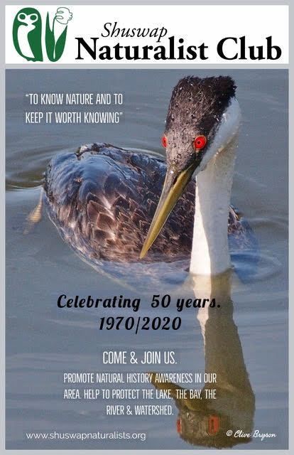 Shuswap-Naturalist-Club-50th-Anniversary-Poster