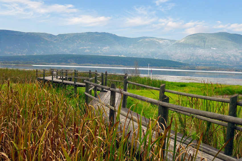 sabnes-endowment-1 Eric Christmas Memorial Boardwalk & Viewing Platform