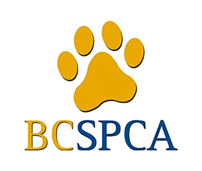 bcspca-logo-1 bcspca logo