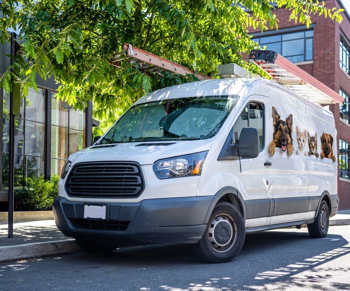 new-van new van